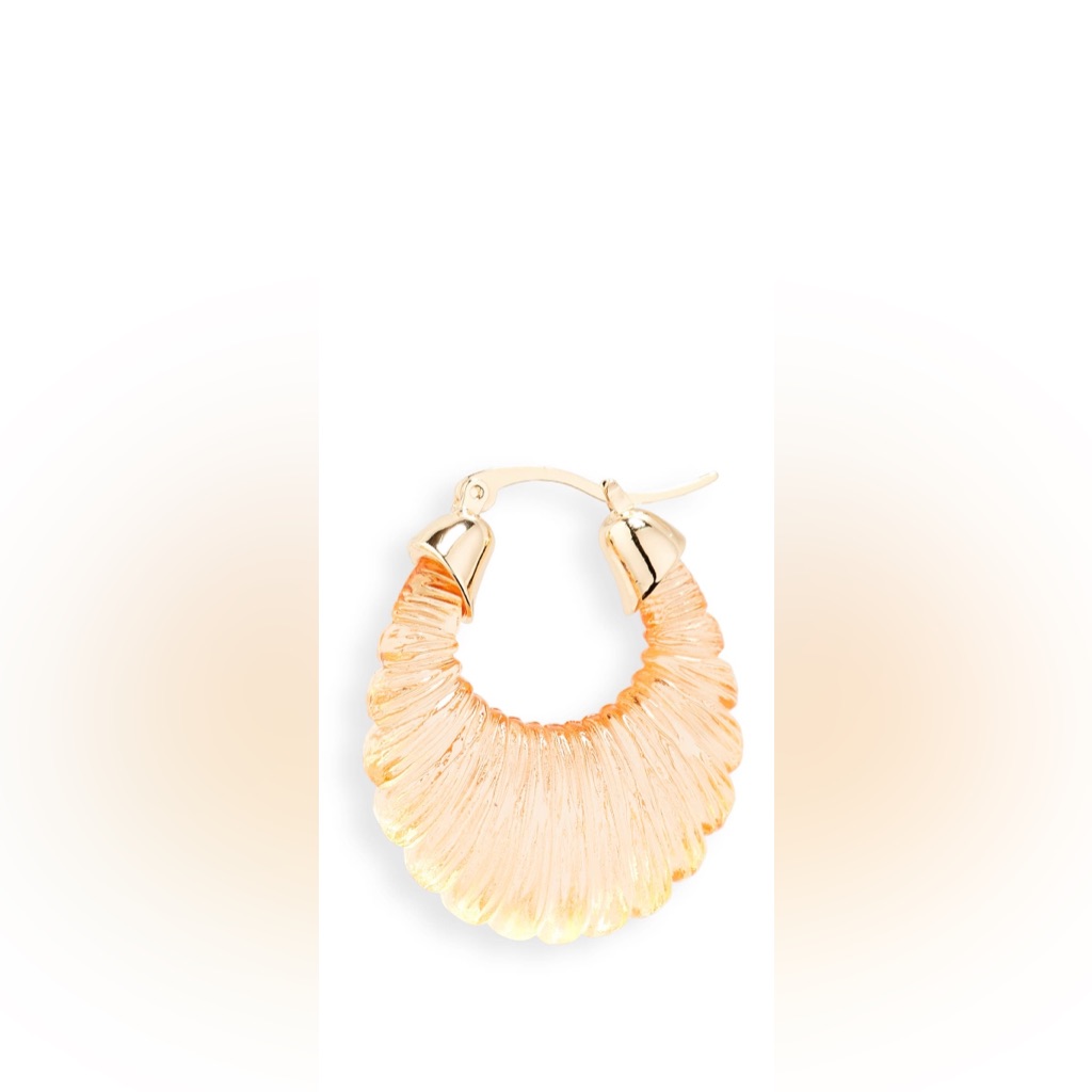 Stephan & Co. Textured Resin Hoop Earring